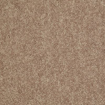 Shaw Floors Value Collections Expect More (s) Net Sahara Buff 00701_E0710