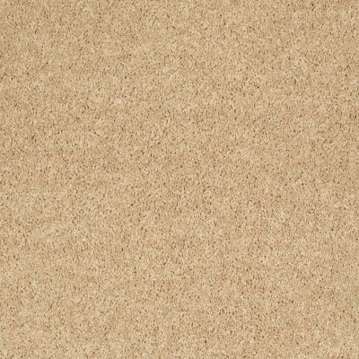 Shaw Floors Value Collections Full Court Net Crumpet 00203_E0713