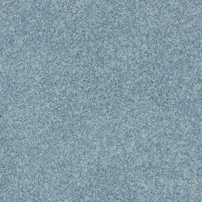 Shaw Floors Value Collections Full Court Net Caribbean Coast 00440_E0713
