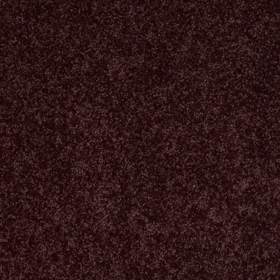 Shaw Floors Value Collections Full Court Net Royal Purple 00902_E0713