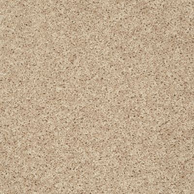 Shaw Floors Value Collections Go Big Net Soft Sand 00102_E0718
