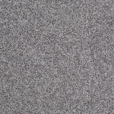 Shaw Floors Value Collections Go Big Net Antique Pewter 00503_E0718