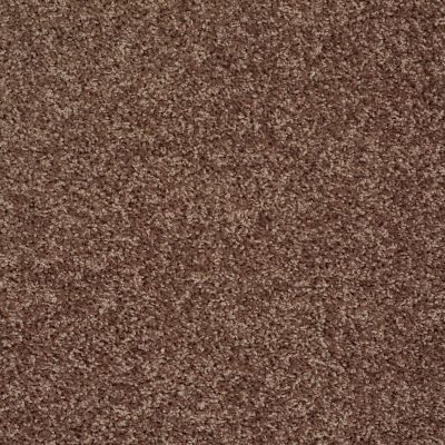 Shaw Floors Value Collections Go Big Net Saddle 00704_E0718