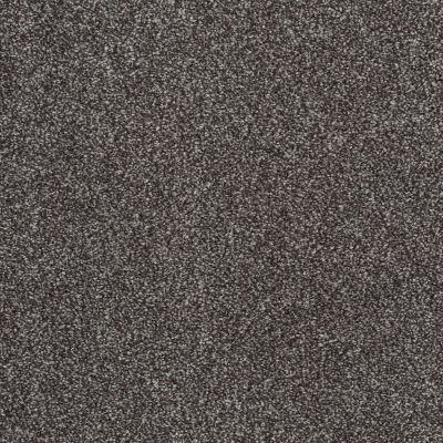 Shaw Floors SFA Awesome 5 (t) Rich Earth 00715_E0744