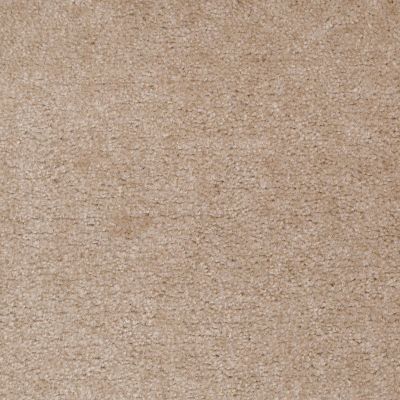 Shaw Floors Value Collections Cascade II Net Fawn’s Leap 00773_E0786