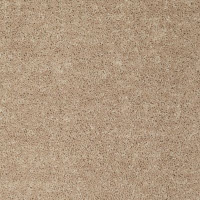 Shaw Floors Value Collections All Star Weekend I 12 Net Honeycomb 00201_E0792
