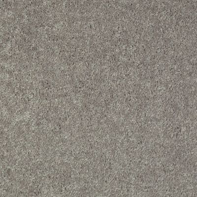 Shaw Floors Value Collections All Star Weekend I 12 Net Ink Spot 00501_E0792