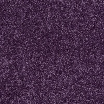 Shaw Floors Value Collections All Star Weekend I 12 Net Grape Slushy 00931_E0792