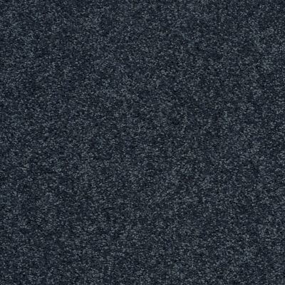 Shaw Floors Value Collections All Star Weekend 1 15 Net Denim 00410_E0793