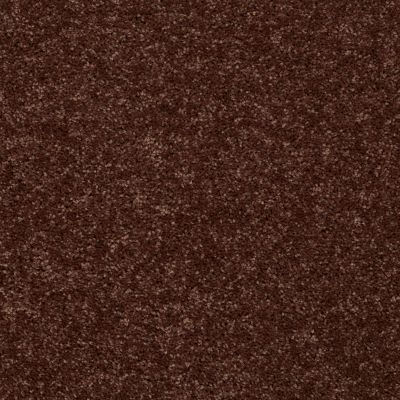 Shaw Floors Value Collections All Star Weekend 1 15 Net Flower Pot 00610_E0793