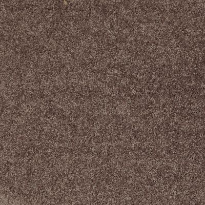 Shaw Floors Value Collections All Star Weekend 1 15 Net Molasses 00710_E0793
