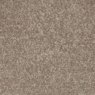 Shaw Floors Value Collections All Star Weekend 1 15 Net River Slate 00720_E0793