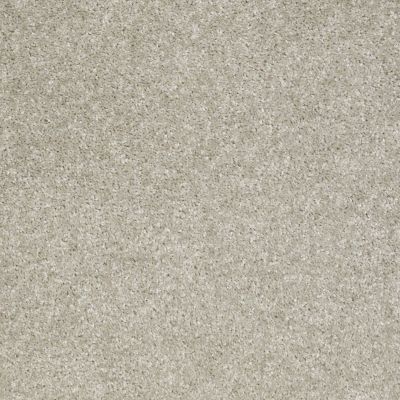 Shaw Floors Value Collections Victory Net Loft 00540_E0794