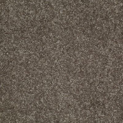Shaw Floors Value Collections Victory Net Bunkhouse 00742_E0794
