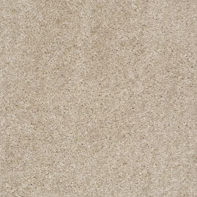 Shaw Floors Value Collections Max Appeal Net Amazing Greige 00105_E0796