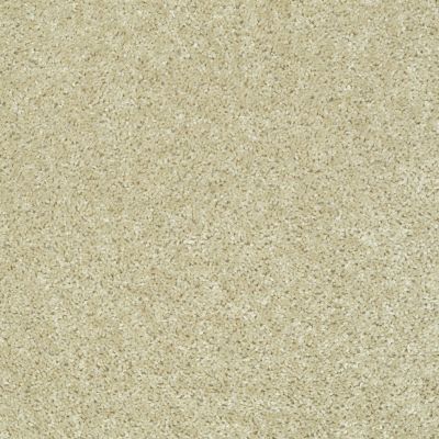 Shaw Floors Value Collections Play Hard Net Sand Pebble 00105_E0797
