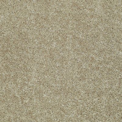 Shaw Floors Value Collections Play Hard Net Taupe Stone 00700_E0797