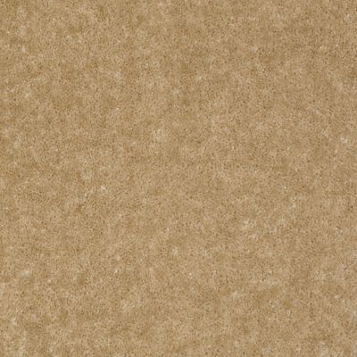 Shaw Floors Value Collections Sprinter Net Tree Trunk 00105_E0800