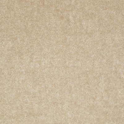 Shaw Floors Value Collections Sprinter Net Practical Beige 00136_E0800