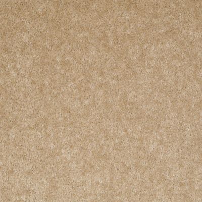 Shaw Floors Value Collections Sprinter Net Fawns Leap 00773_E0800
