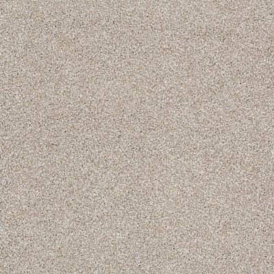 Shaw Floors You Know It Cork Board 00711_E0807