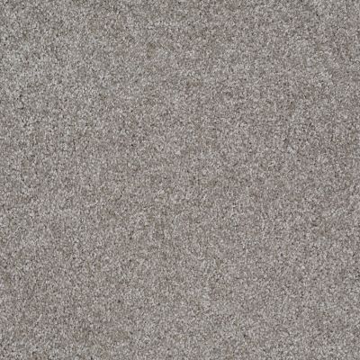 Shaw Floors Parlay Pewter 00550_E0811