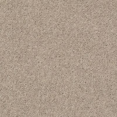 Shaw Floors Value Collections All Star Weekend II 12′ Net Bare Mineral 00105_E0814