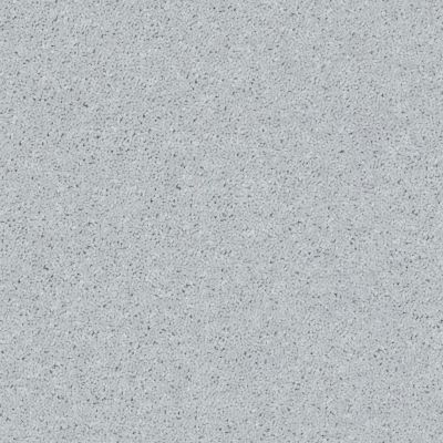 Shaw Floors Value Collections All Star Weekend II 12′ Net Dove 00540_E0814