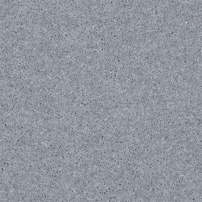 Shaw Floors Value Collections All Star Weekend II 12′ Net Dolphin 00541_E0814