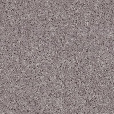 Shaw Floors Value Collections All Star Weekend II 12′ Net River Slate 00720_E0814