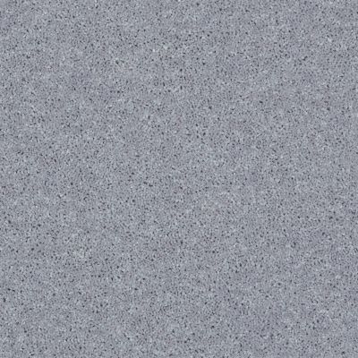 Shaw Floors Value Collections All Star Weekend II 15′ Net Dolphin 00541_E0815