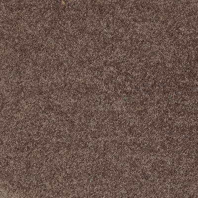 Shaw Floors Value Collections All Star Weekend II 15′ Net Molasses 00710_E0815