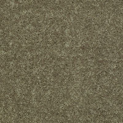 Shaw Floors Value Collections All Star Weekend III 15′ Net Aloe 00300_E0816