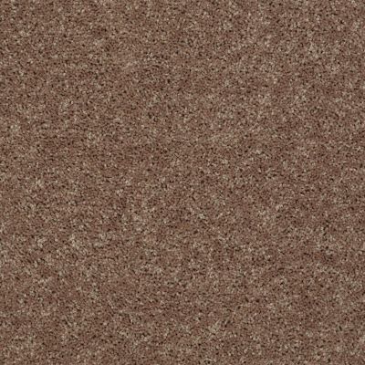 Shaw Floors Value Collections All Star Weekend III 15′ Net Granola 00701_E0816