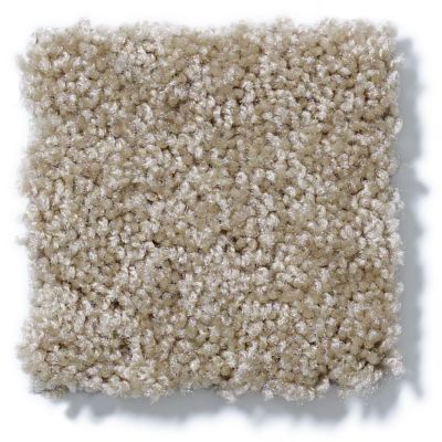 Shaw Floors Mojo Texture Northern Cliffs GF00711_E0819