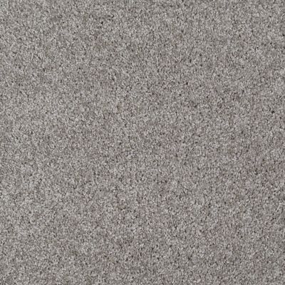 Shaw Floors Value Collections Make It Yours (s) Net Pewter Solid 00550_E0821