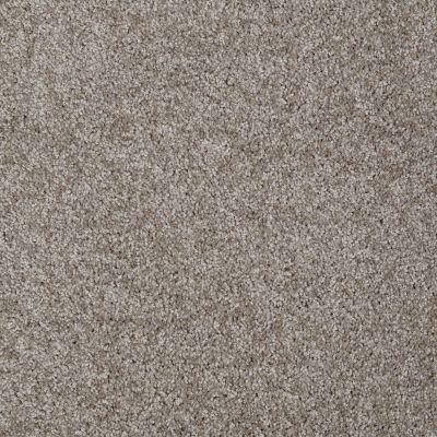 Shaw Floors Value Collections Make It Yours (s) Net Driftwood Solid 00750_E0821
