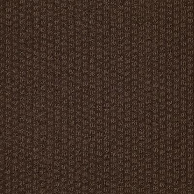 Shaw Floors Simply The Best Pacific Trails Mocha Chip 00705_E0824