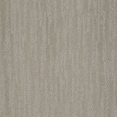 Shaw Floors Value Collections Bandon Dunes Net Valley Mist 00523_E0825