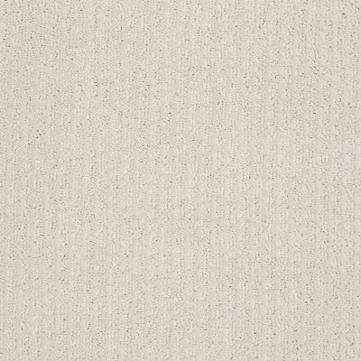 Shaw Floors Value Collections Pacific Trails Net Canvas 00103_E0826