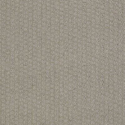 Shaw Floors Value Collections Pacific Trails Net Valley Mist 00523_E0826