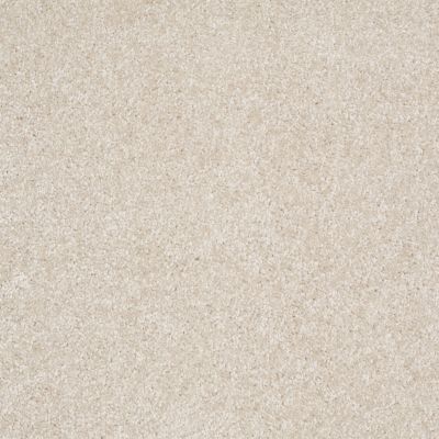 Shaw Floors Value Collections Parlay Net Sand Dollar 00106_E0829