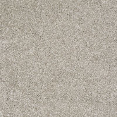 Shaw Floors Value Collections Parlay Net Cascade 00152_E0829
