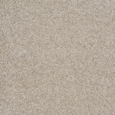 Shaw Floors Value Collections Parlay Net Abalone 00153_E0829