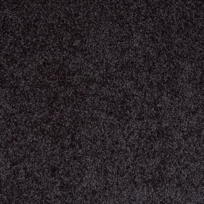 Shaw Floors Value Collections Parlay Net Nightfall Navy 00450_E0829