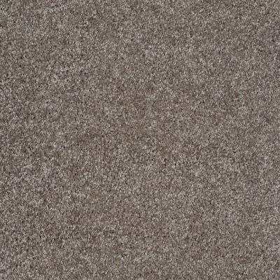 Shaw Floors Value Collections Parlay Net Stone 00751_E0829