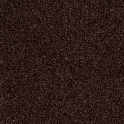 Shaw Floors Value Collections Parlay Net Truffle 00755_E0829