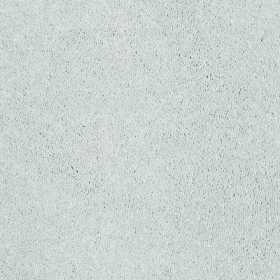 Shaw Floors Value Collections Well Played I 12 Net Sheer Silver 00500_E0839