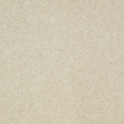 Shaw Floors Value Collections Well Played II 12′ Net Fresco 00100_E0840