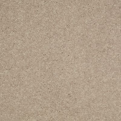 Shaw Floors Value Collections Well Played II 12′ Net Sandy Nook 00104_E0840